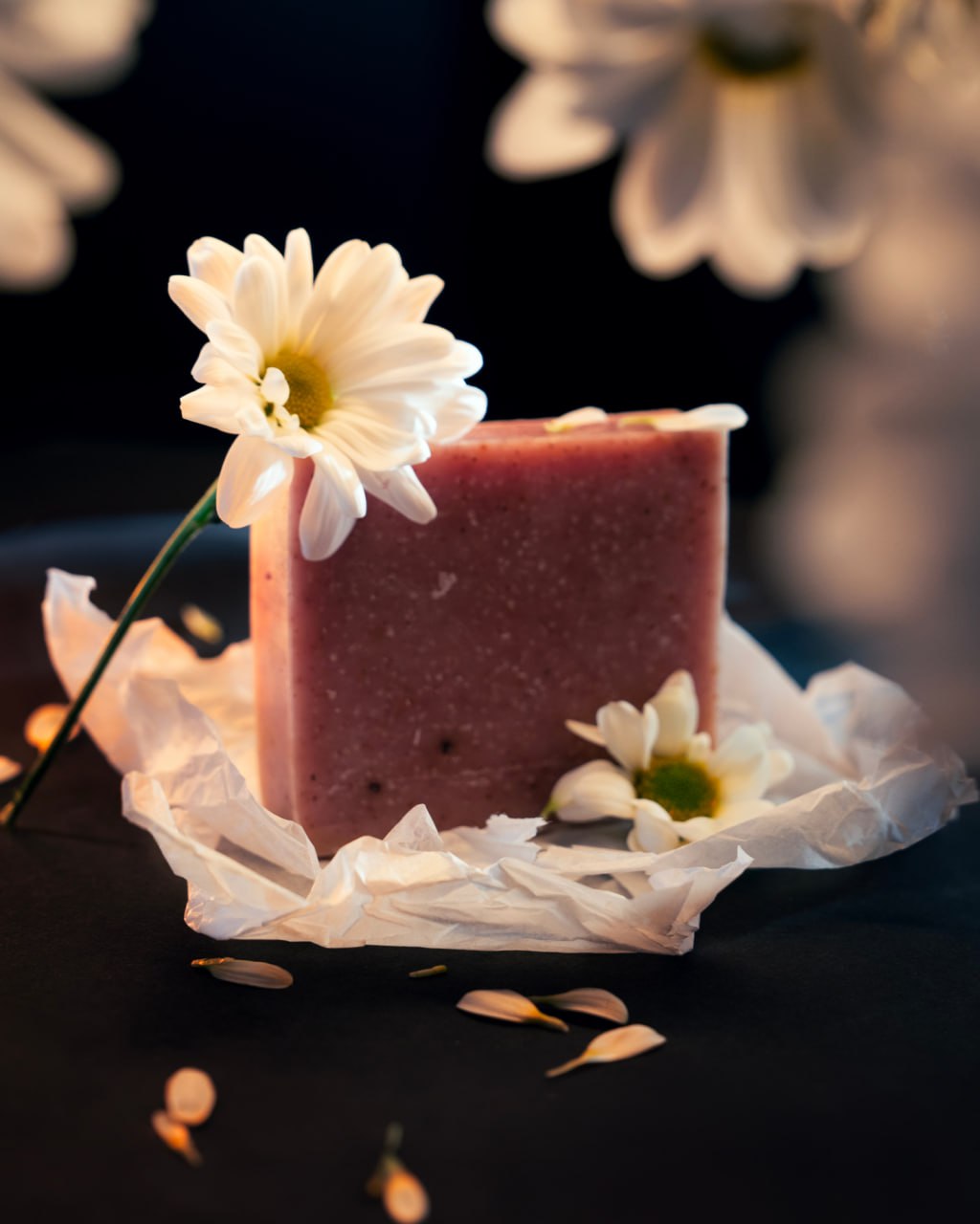 Изображение проекта 1