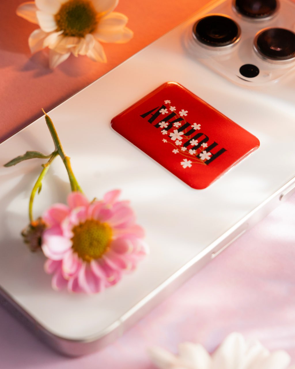 Изображение проекта 1