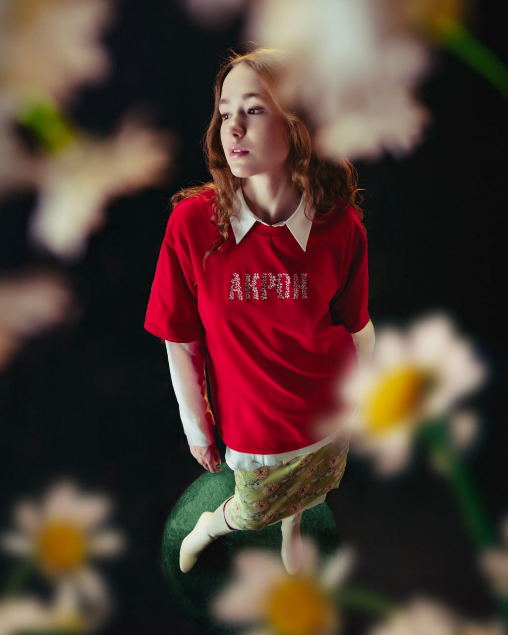 Изображение проекта 2