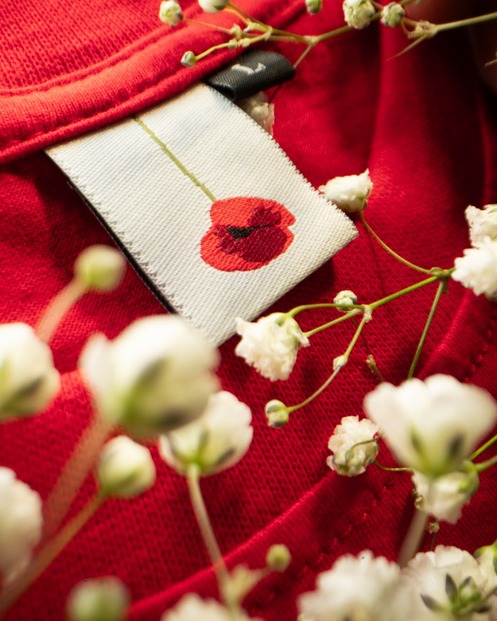 Изображение проекта 6